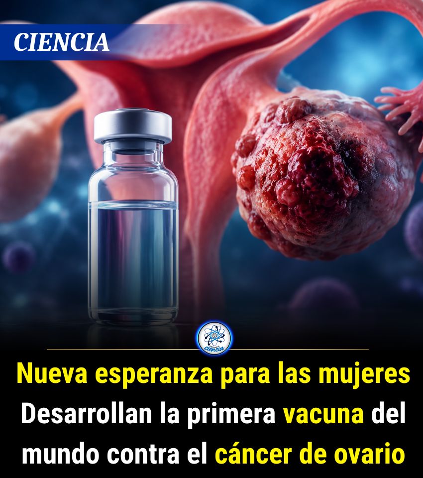 EnsedeCiencia's tweet photo. La vacuna en desarrollo va dirigida a mujeres que tienen mutaciones genéticas que pueden aumentar el riesgo de padecer cáncer de ovario. Cuando dichas mutaciones genéticas son detectadas, algunas mujeres suelen optar por extirpar los ovarios y las trompas de Falopio. https://t.co/JR4TD5mAuK