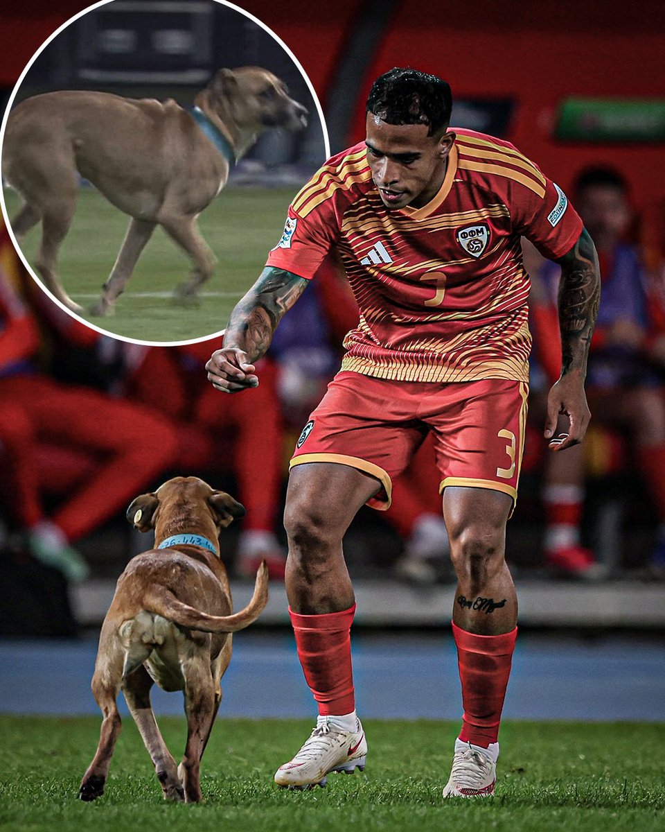 viktorrist5t's tweet photo. 😂🐕 Малиот крзнен натрапник направи кратка пауза на натпреварот меѓу Македонија и Шкотска! ⚽🇲🇰🏴
Неочекуван гостин на теренот во Скопје! 😄
#Македонија #Шкотска #Скопје #Фудбал https://t.co/HnKYe2OEzk