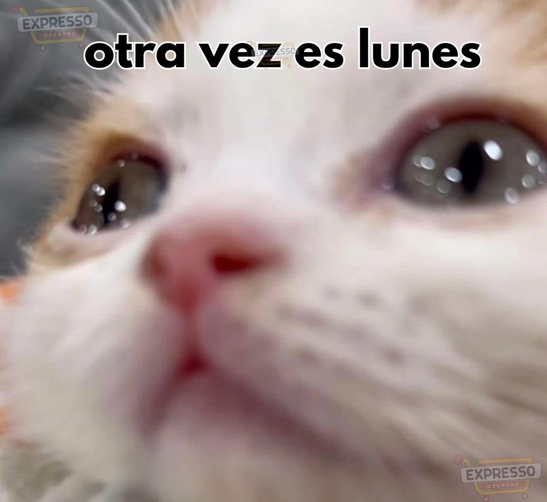 cozychita's tweet photo. Se acercan tiempos oscuros… https://t.co/6NUC779D2x