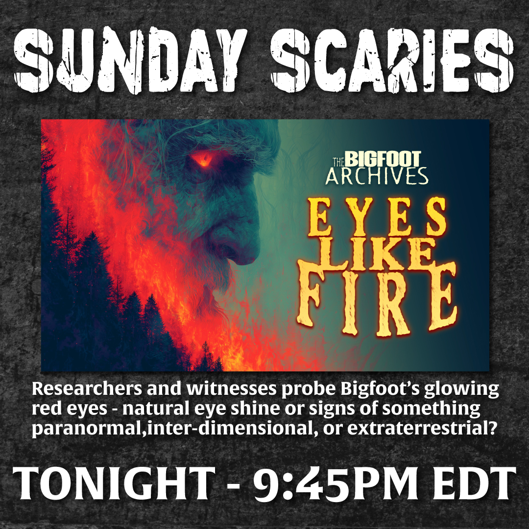 KingsofHorror's tweet photo. Tonight's SUNDAY SCARIES feature two cryptid documentaries from @Terror_Films !

🐺 8PM — DOGMAN MASSACRE
https://t.co/2Qv2cO3SHY

🔴 9:45PM — BIGFOOT ARCHIVES: EYES LIKE FIRE
https://t.co/021juKndLd

Watch FREE on KOH!
#SundayScaries https://t.co/uCfGCtp4ES