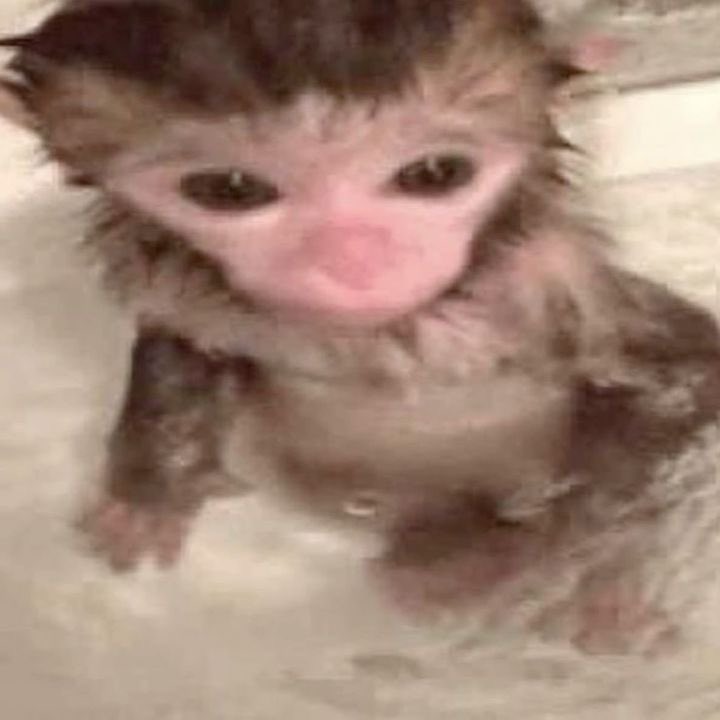 saltyairls's tweet photo. foto real mía cuando me baño https://t.co/egRWRZulHb