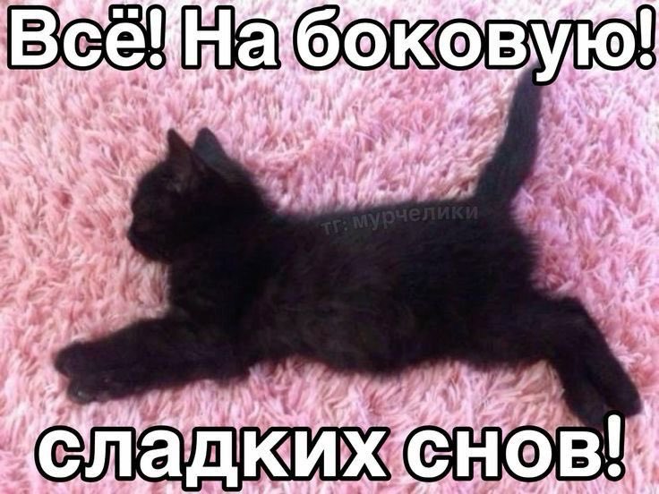 monlightsamm's tweet photo. всем теплых снов, лунные https://t.co/edjvXAoF9F