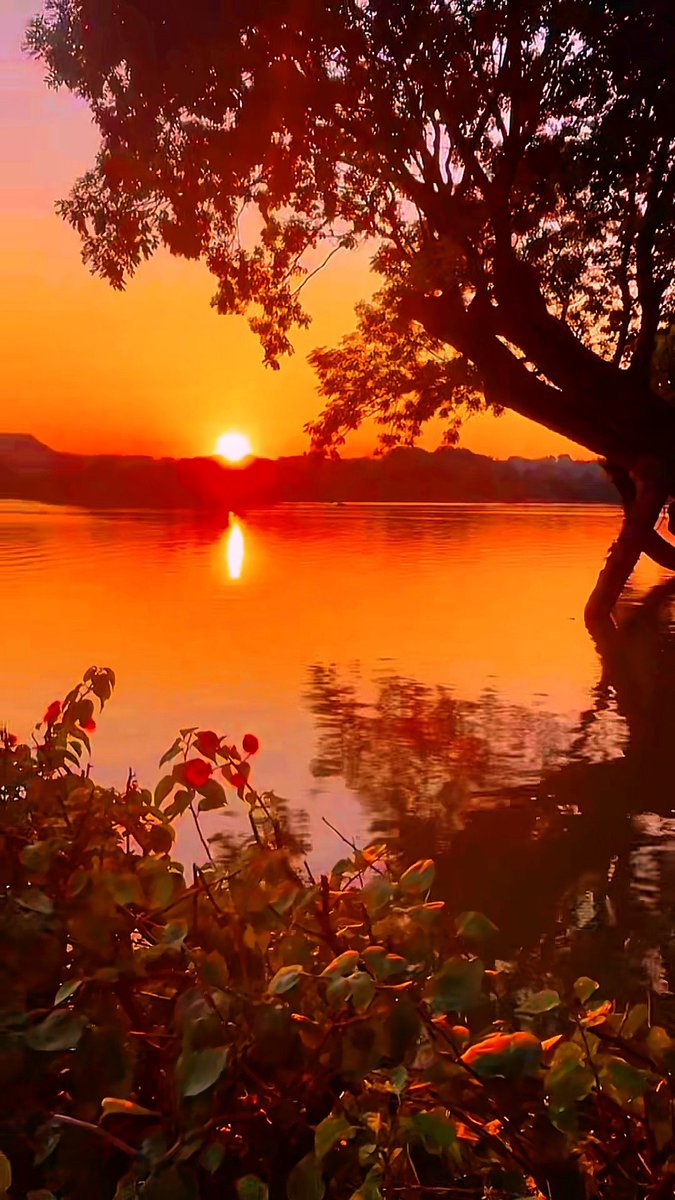 MayaBallar9raw's tweet photo. [Hoy llegué a la montaa de Wei, agarré la cámara y fotografié la puesta de sol con una sensación de vómito No, qué lindo es el paisaje!]， https://t.co/FRzCzXYIeU
