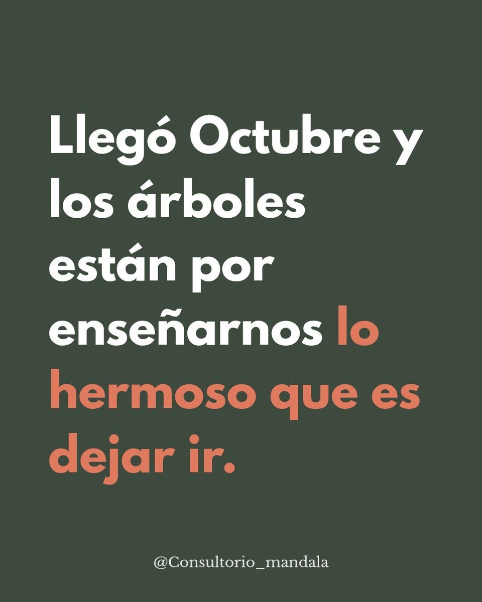 El_abuacatit0's tweet photo. 🍂 https://t.co/gmXqhG0AcG