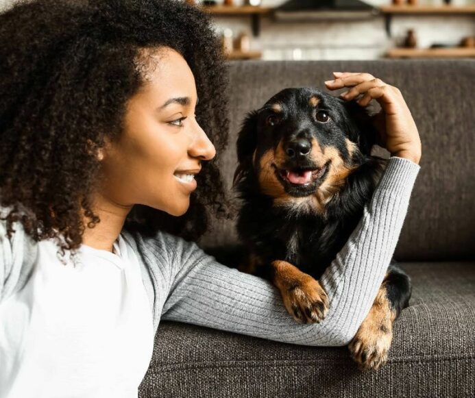 DogsBestLife's tweet photo. Why your Velcro dog steals your cozy spot (and how to reclaim it) https://t.co/kIaKtYznrC https://t.co/cKkSjm5zr5