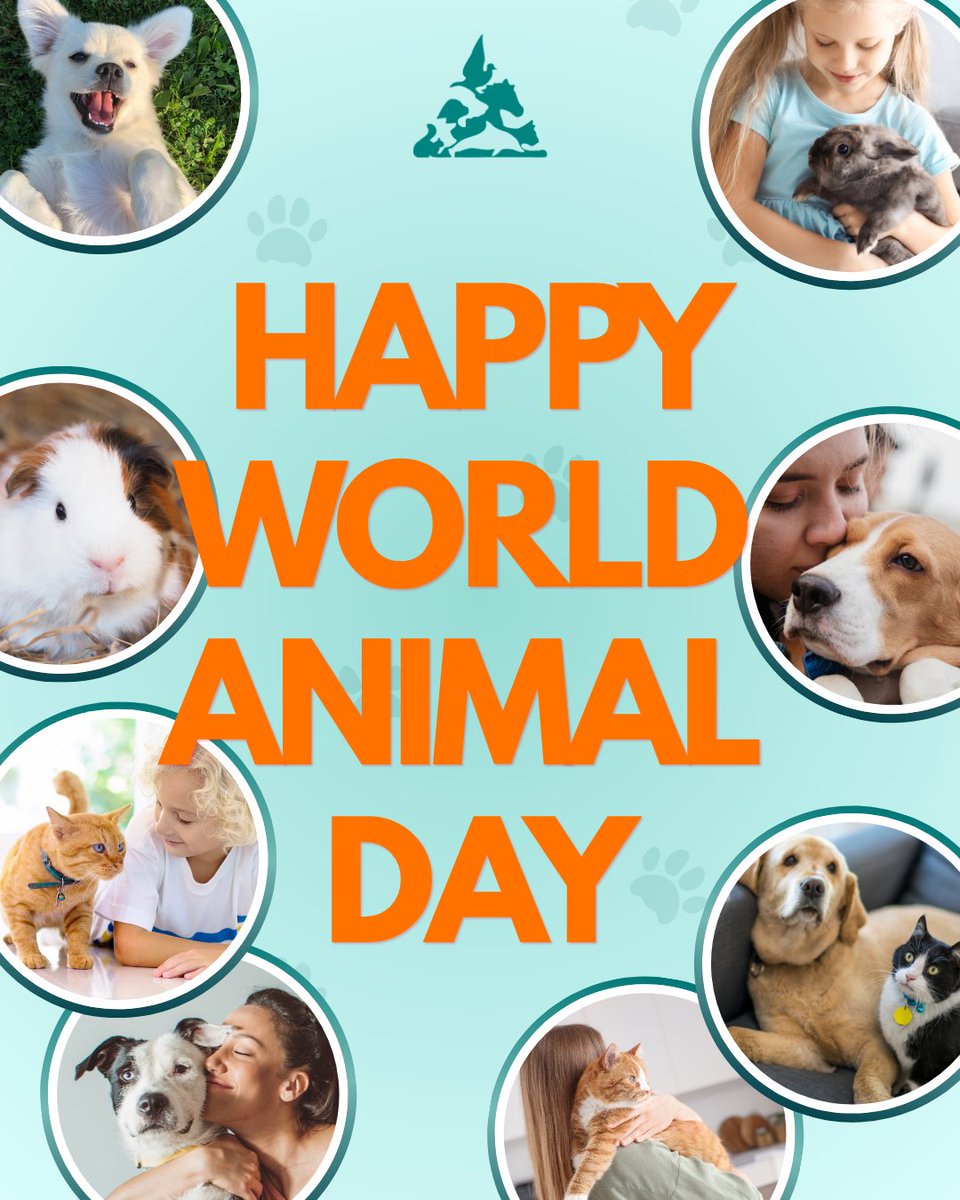 HumaneCanada's tweet photo. This one’s not up for debate: animals are THE BEST. 💙
They bring so much joy into our lives, and ask for so little in return. 

If animals make your world better, help us make Canada better for them. 💙
Donate today: https://t.co/WIKxPEuirz https://t.co/c3yVt2hTC4