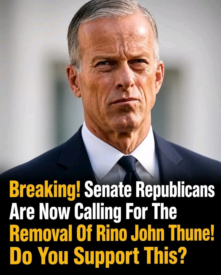 lin_lw8557097's tweet photo. Do you support this? https://t.co/OskjEzF5SO