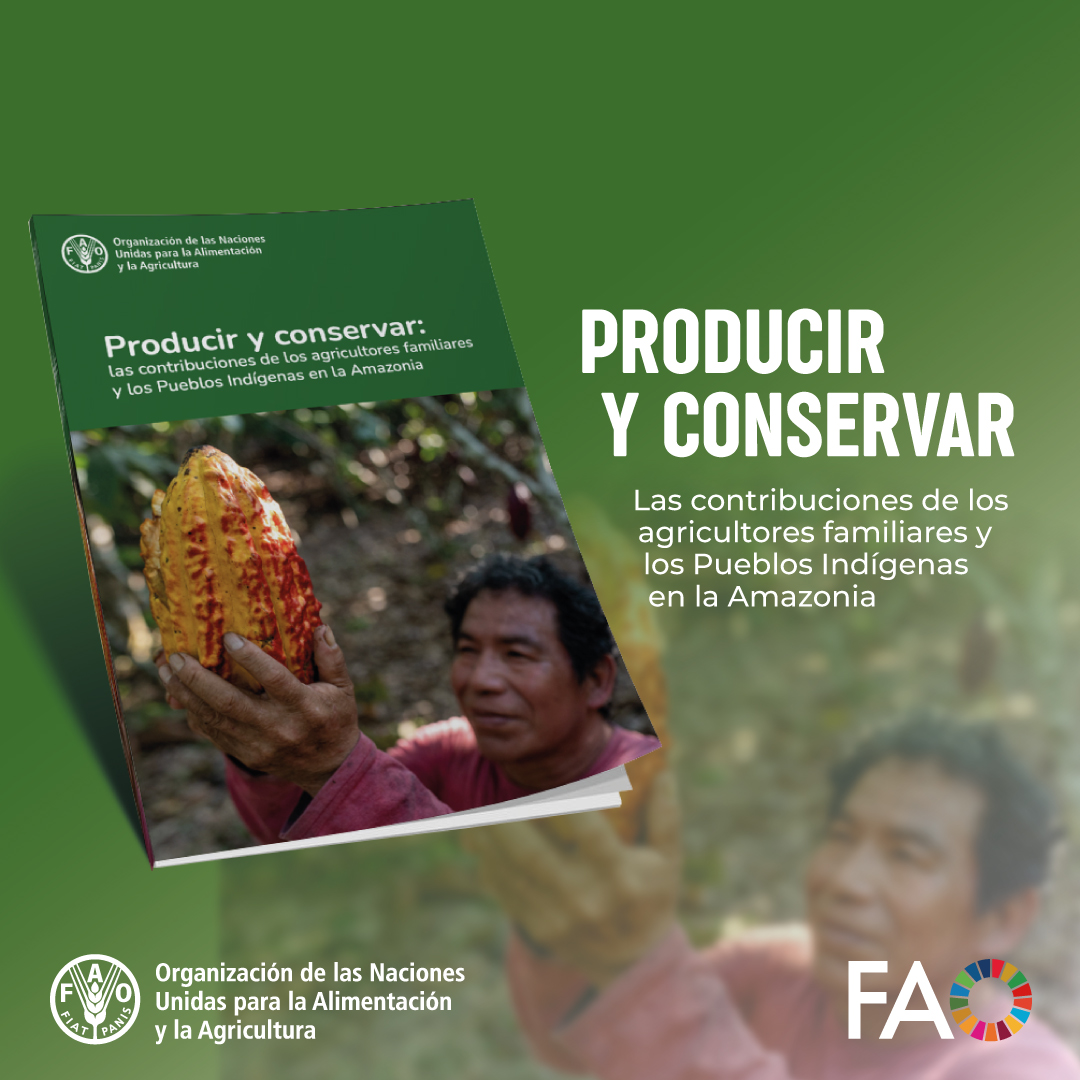 FAOCaribbean's tweet photo. #NEWS

📢@FAO launched #ProduceAndConserve, a study showing that production can be an ally of environmental conservation when it is adapted to the ecosystem, generates value within the territory, and recognizes local rights and knowledge🌳

📰Read more: https://t.co/uJNooCUpAM https://t.co/1lFKFu8Oqe