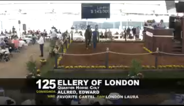 losalracing's tweet photo. Day 2 of the Equine Sale can be followed live at https://t.co/lKyvRKMtlH https://t.co/2kKS2pqaqq