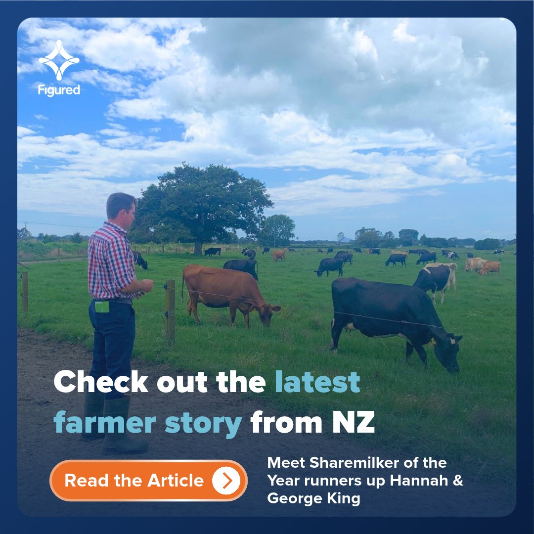 figured's tweet photo. Sharemilkers Hannah &amp; George King recently took home runner-up at the 2026 Dairy Industry Awards.

The judges said it was the couple's financial discipline and vision for growth that got their attention. 

Read the full story → https://t.co/7dTSR5sREM

#NZDairy #NZFarming https://t.co/ql2Uk0rmp1