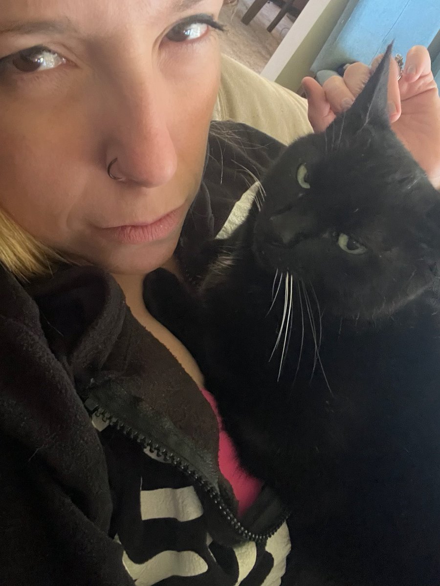 Kintinue's tweet photo. 🐈‍⬛🐈‍⬛ https://t.co/4c4yrSsvJX