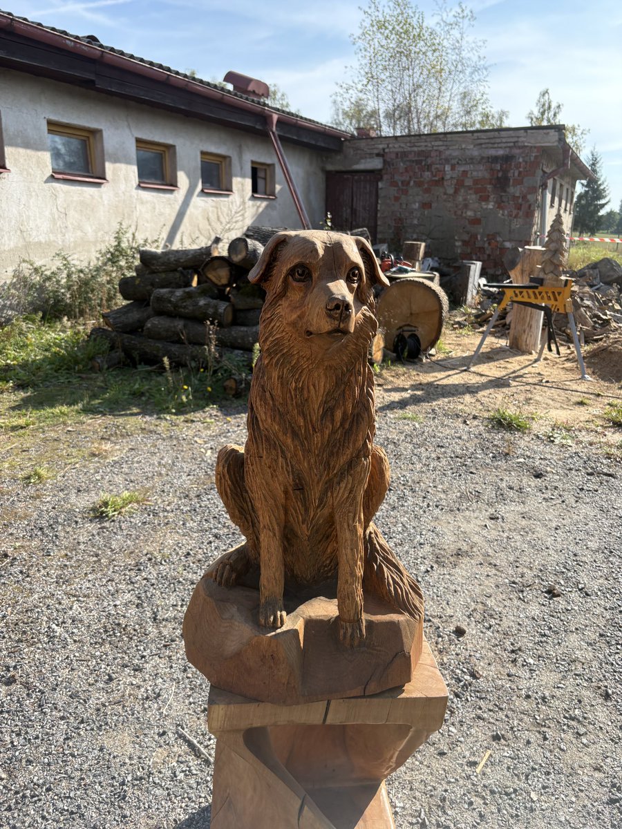 MudraJiri's tweet photo. Člověk se musí životu smát. Vyřezáváte labutě z jablek a sovičky z ředkviček, až vám cvakne: co zkusit něco, co do zítřka nezvadne? 😁
Dnes jsem potkal člověka, který od ovoce přešel k velkým dřevěným sochám. A umí je nádherně.

#pelhrimovsko https://t.co/ZjciAjBktF
