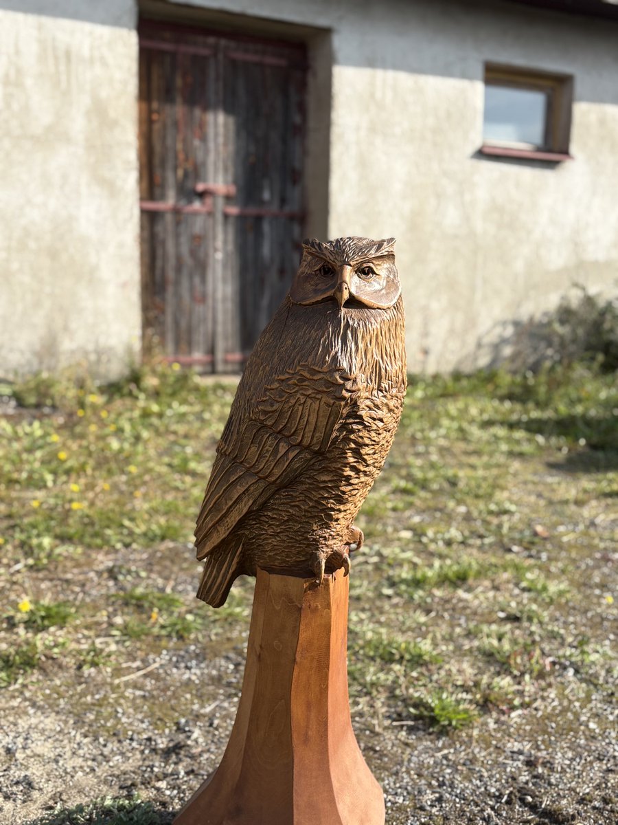 MudraJiri's tweet photo. Člověk se musí životu smát. Vyřezáváte labutě z jablek a sovičky z ředkviček, až vám cvakne: co zkusit něco, co do zítřka nezvadne? 😁
Dnes jsem potkal člověka, který od ovoce přešel k velkým dřevěným sochám. A umí je nádherně.

#pelhrimovsko https://t.co/ZjciAjBktF