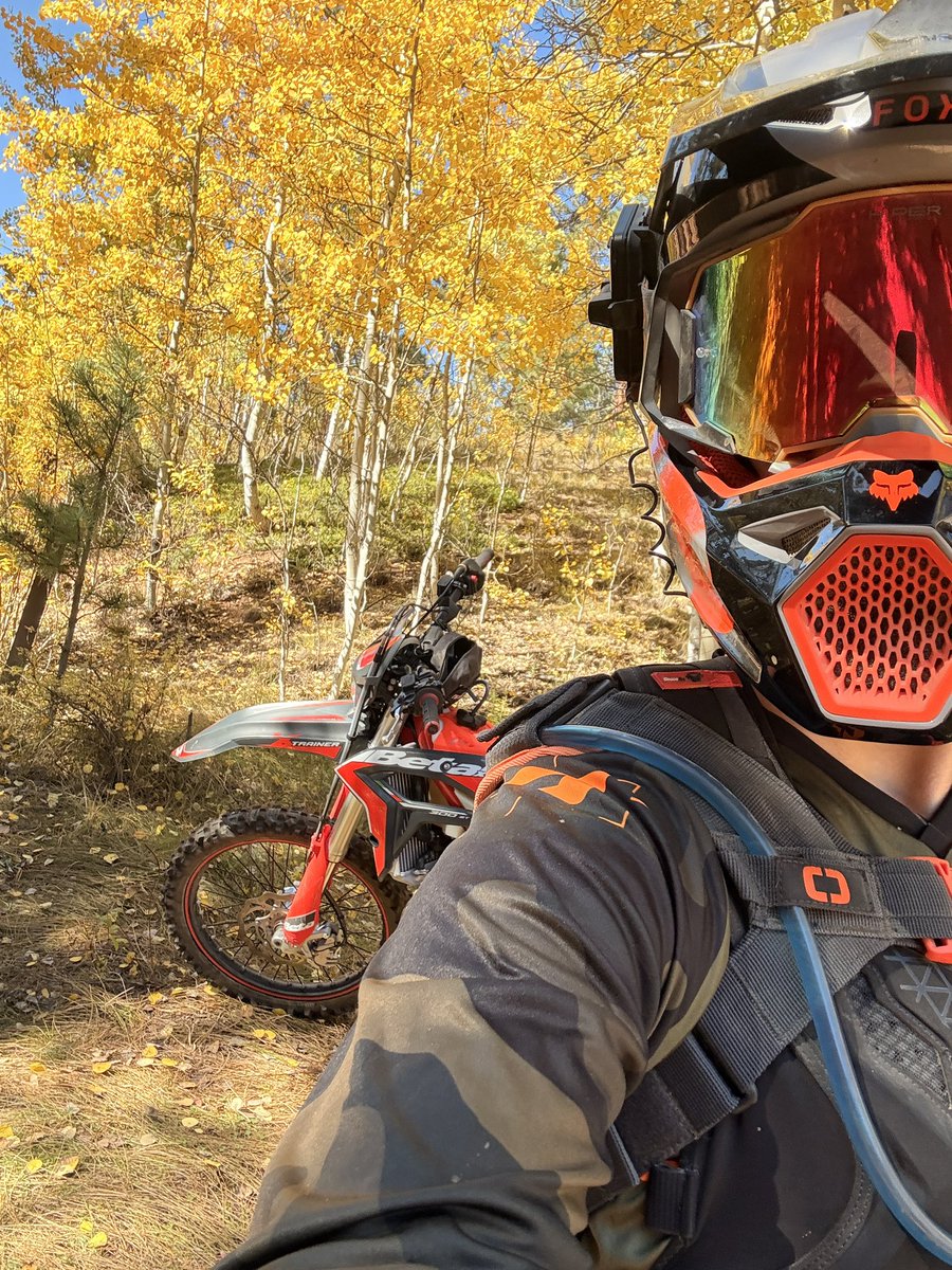 Quinnsowild's tweet photo. Who else wants to go ride in the fall leaves? https://t.co/Ba2JzRiVU3