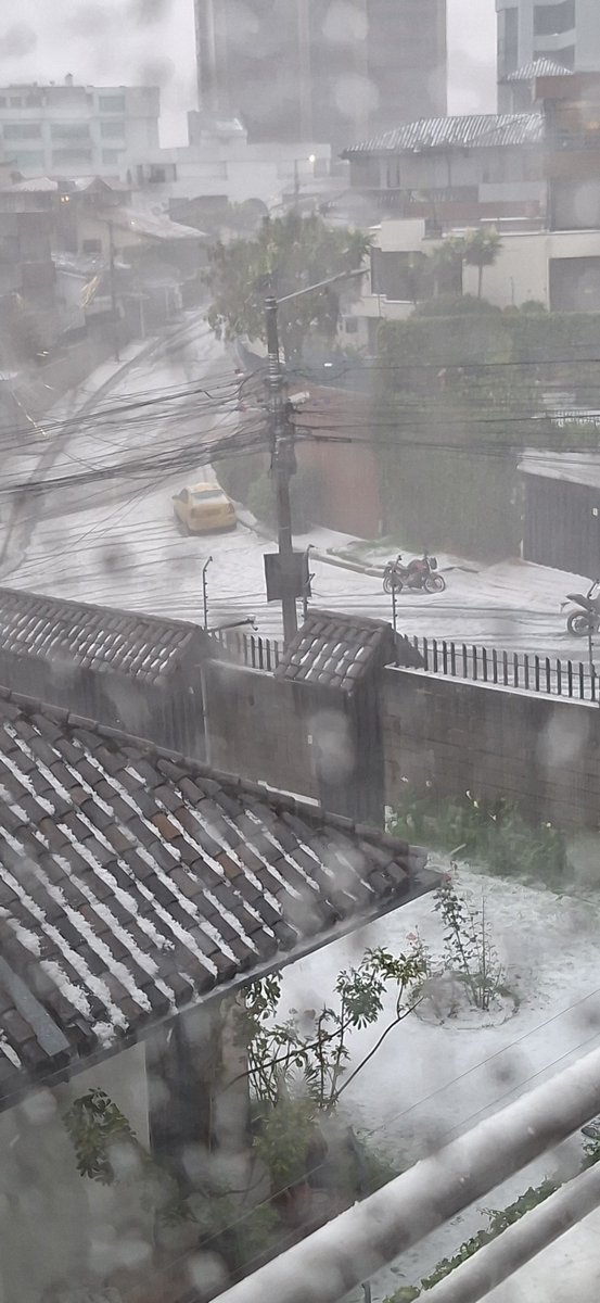 eFedefrancisca's tweet photo. El granizo en el sector de el Bosque https://t.co/enJuh7vL3P
