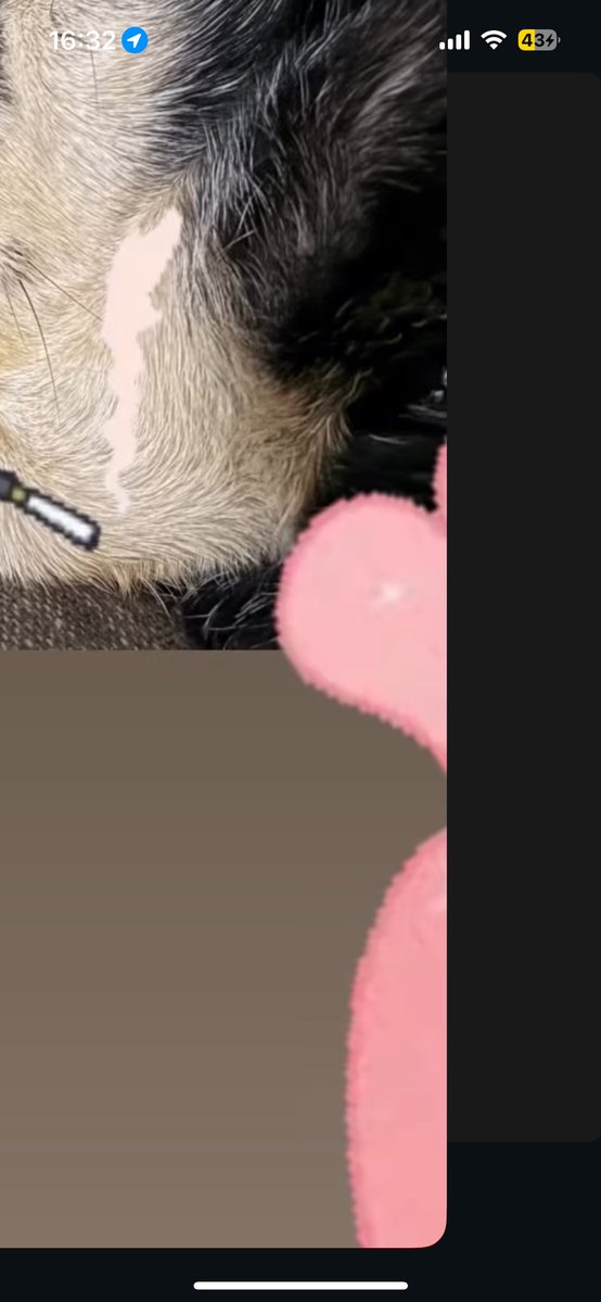 moounlightt's tweet photo. estoy tan segura que quizo borrar ese sticker y no supo como, lo amo https://t.co/ZVxjeqqOzf