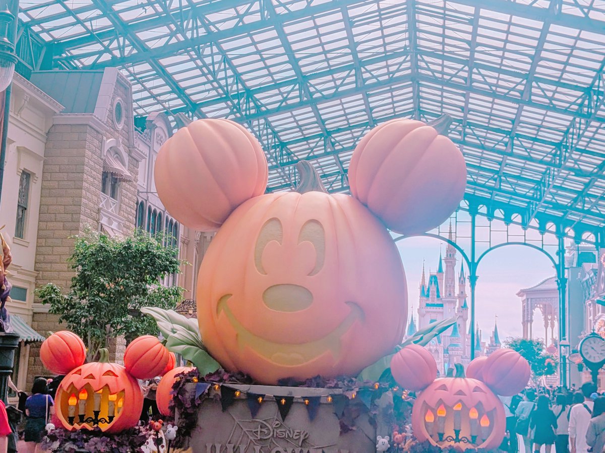 2kanian's tweet photo. ディズニー行ってきた☺☺☺ https://t.co/ITyE9TnKS0