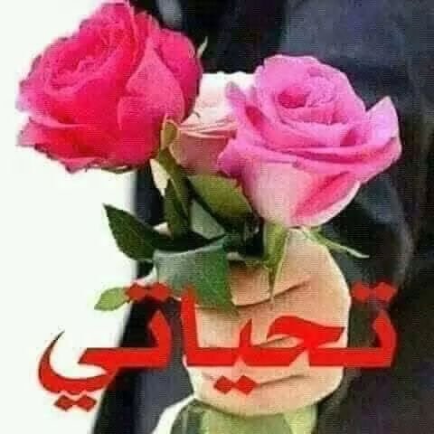 _ahmed__7's tweet photo. اشكرك نجمه الدعم حلاتي ع الدعم https://t.co/7c7n09RS6C