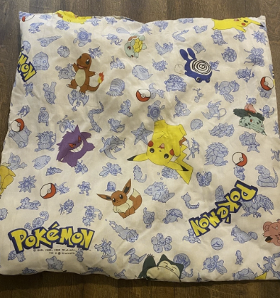 PopcornPuppet's tweet photo. @StonkHands Pokémon crib sheet — lightly played, 2 poop stains. What’s market value? https://t.co/RKjVj0WjtL