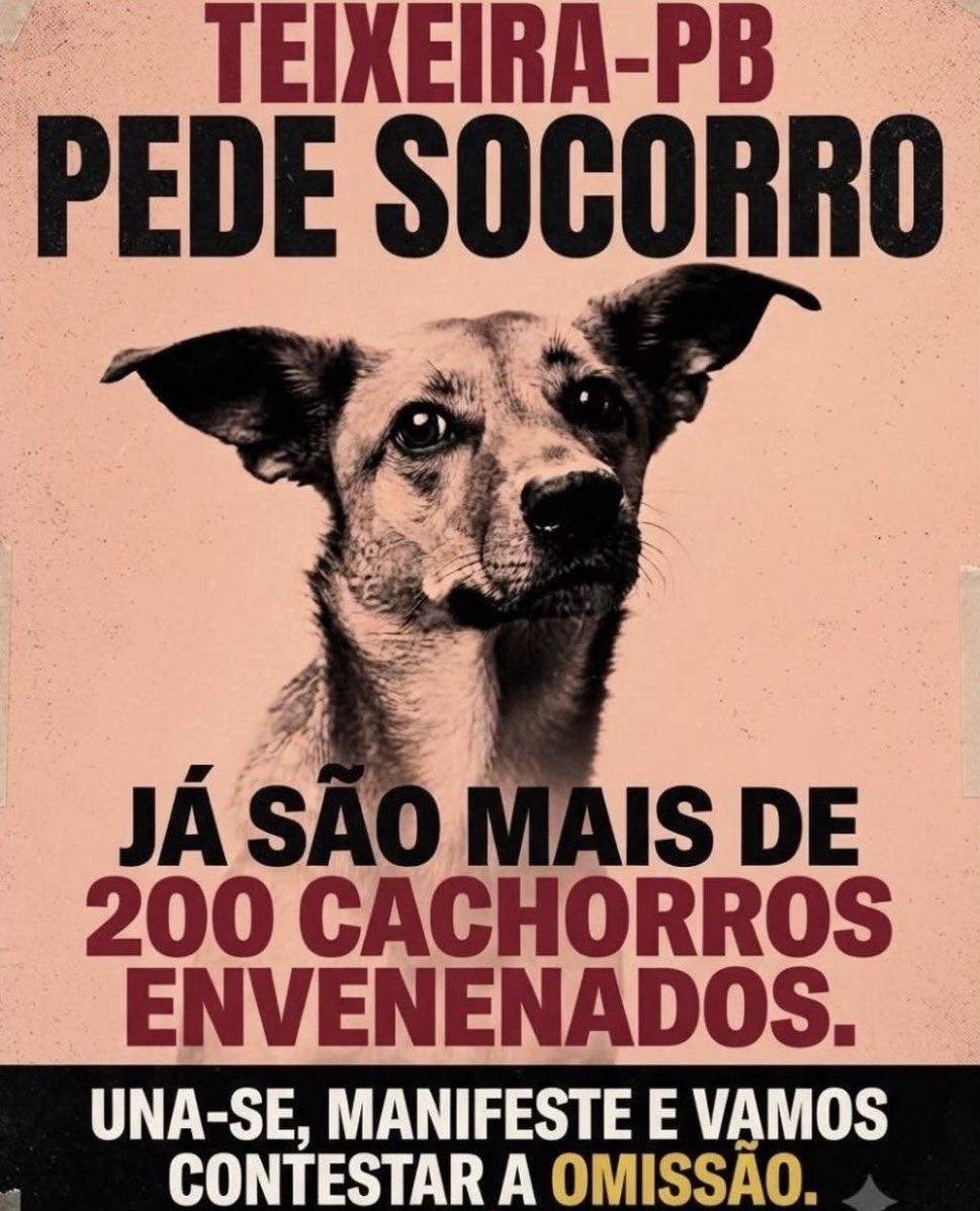 naneunananoona's tweet photo. gente, por favor me ajudem a dar visibilidade a esse caso… mais de 250 animais envenenados em TEIXEIRA - PB há meses, TODOS OS DIAS e ninguém faz absolutamente nada. os numeros so aumentam. nao sabemos mais o que fazer. quem esta fazendo nao para porque esta certo da impunidade. https://t.co/PJ2jCFBL6g