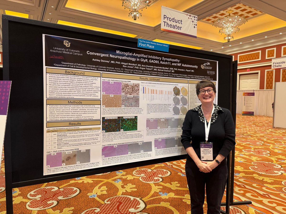 CU_pathology's tweet photo. Congratulations to our very own Ashley Denney (PGY4) who’s CAP Abstract on Microglial-Amplified Inhibitory Synaptopathy: Convergent Neuropathology in GlyR, GAD65, Kelch11, and NIF Autoimmunity was selected as the First Place Abstract at CAP 2026 🎉 https://t.co/NOEd0QCsf2