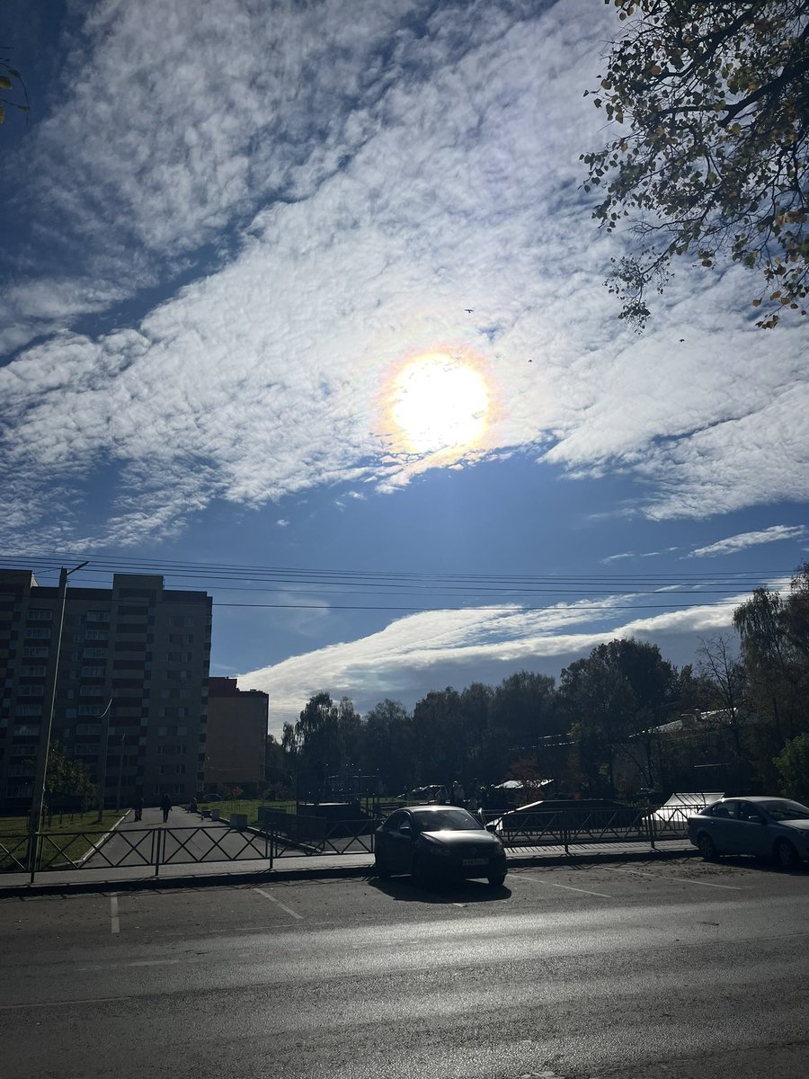 elisaobetta tweet picture