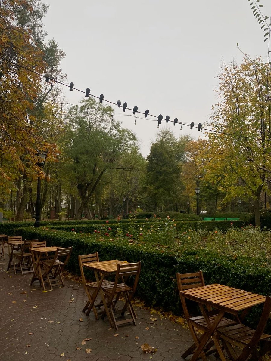 MariaRotarjr's tweet photo. 🇲🇩🌅 Toamna își face simțită prezența în Moldova, iar orașele capătă o atmosferă perfectă pentru plimbări și fotografii.
#Moldova #Autumn #Chișinău https://t.co/XE5D6jRTRE