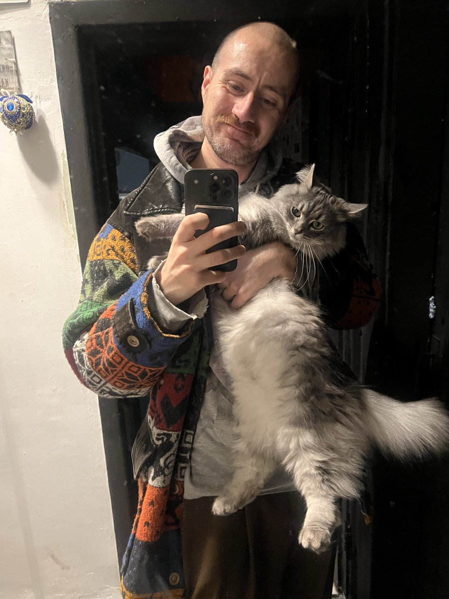 feelflood's tweet photo. Распушился 😻😻😻 https://t.co/1yb1iHXQNJ