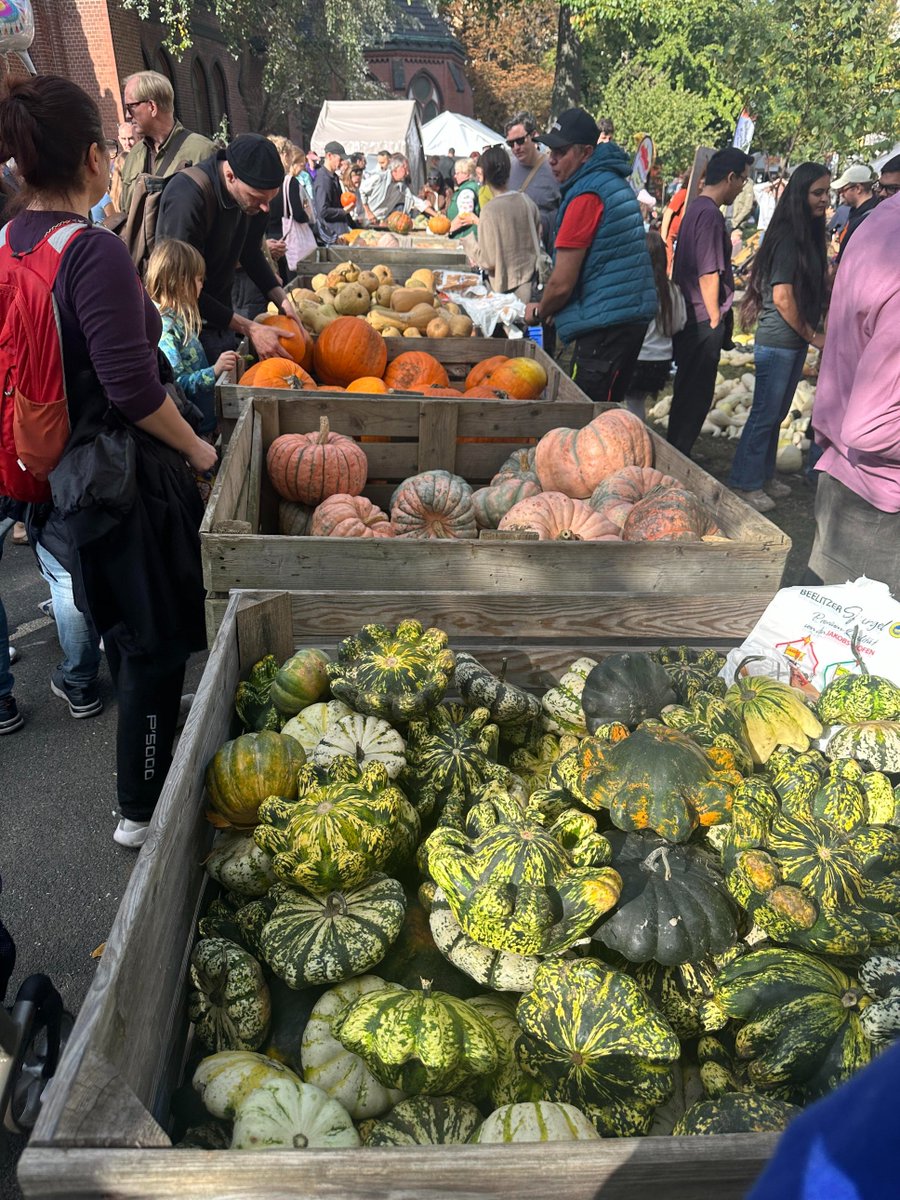 CarolineeeMill's tweet photo. The local pumpkin festival absolutely understood the assignment today. Swipe to see the prettiest floral pumpkin setups ever
#FallIsHere #PumpkinFestival #CozySeason https://t.co/bOMQZegXbk
