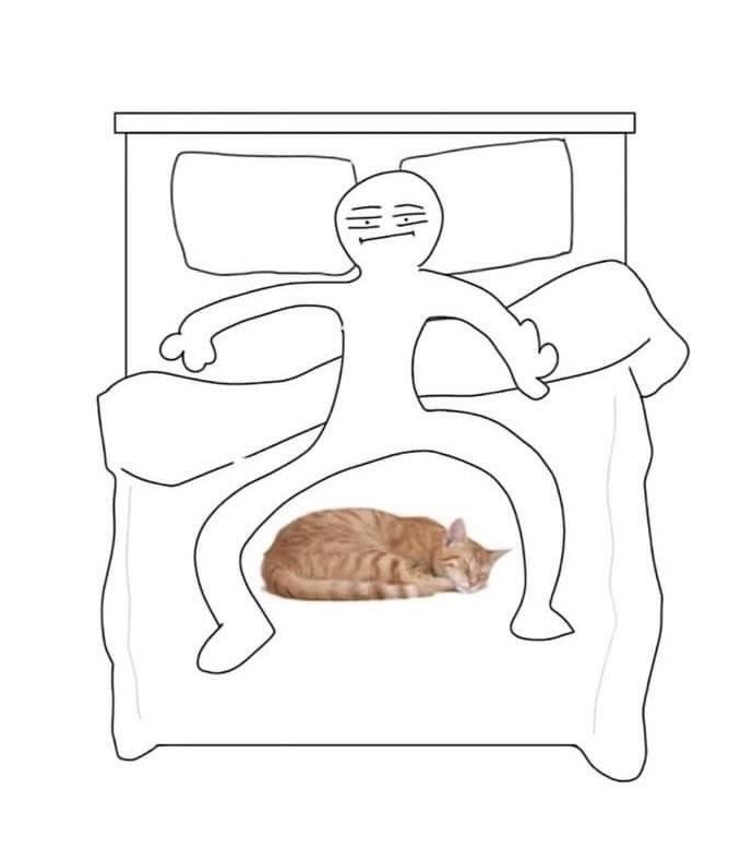 astralbaes's tweet photo. cat owners be like https://t.co/uTeyuQQHqr