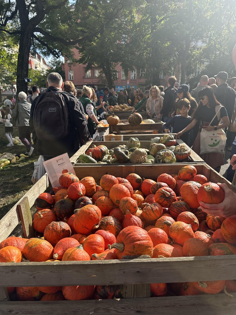 CarolineeeMill's tweet photo. The local pumpkin festival absolutely understood the assignment today. Swipe to see the prettiest floral pumpkin setups ever
#FallIsHere #PumpkinFestival #CozySeason https://t.co/bOMQZegXbk