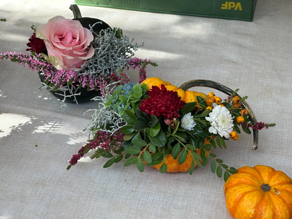 CarolineeeMill's tweet photo. The local pumpkin festival absolutely understood the assignment today. Swipe to see the prettiest floral pumpkin setups ever
#FallIsHere #PumpkinFestival #CozySeason https://t.co/bOMQZegXbk