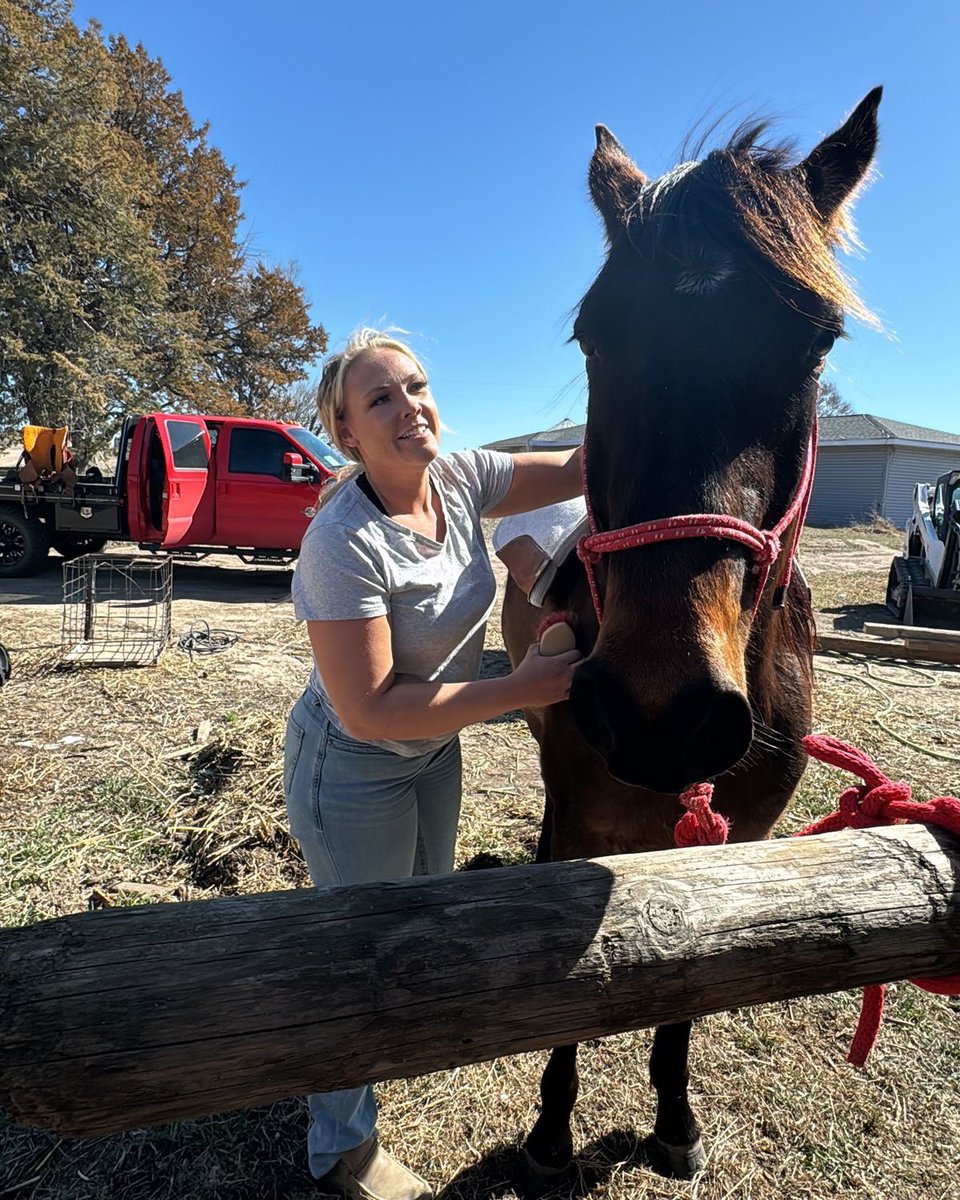 cassandramelvs's tweet photo. Duty calls, but the farm remembers. Back home in Nebraska for a well deserved break. 🚜🐴✨ https://t.co/sByJIdtfTD