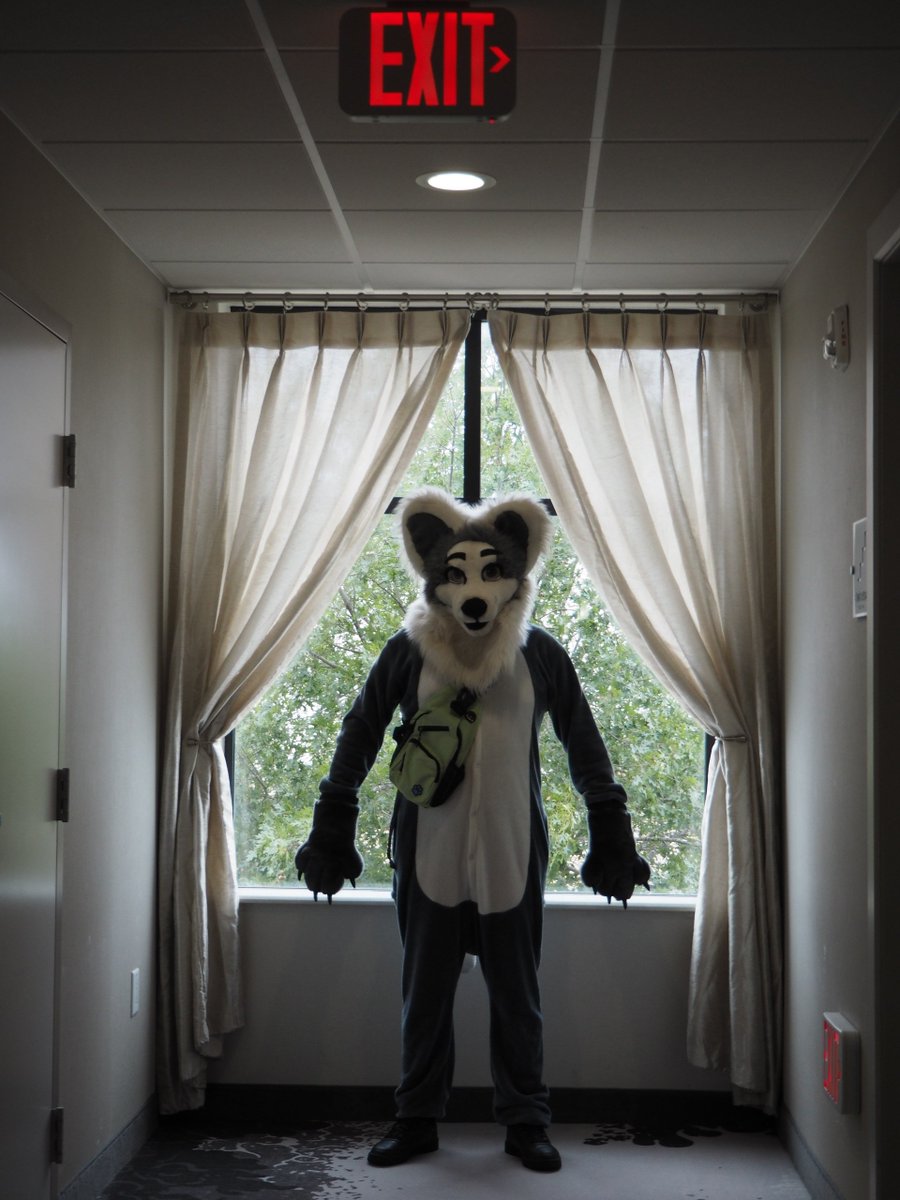 Junelazyfox's tweet photo. Convention shenanigans. https://t.co/x1hZaUajgv