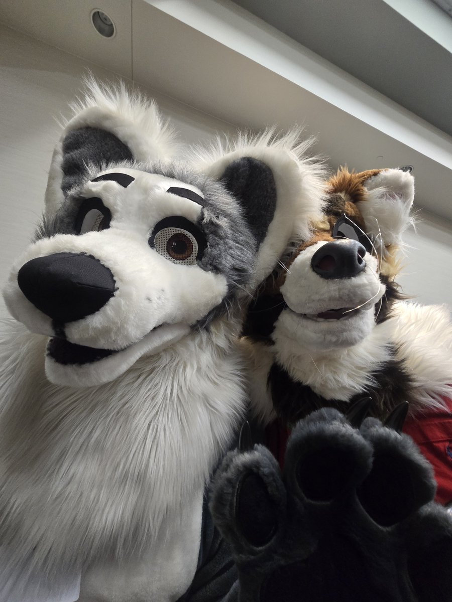 Junelazyfox's tweet photo. Convention shenanigans. https://t.co/x1hZaUajgv