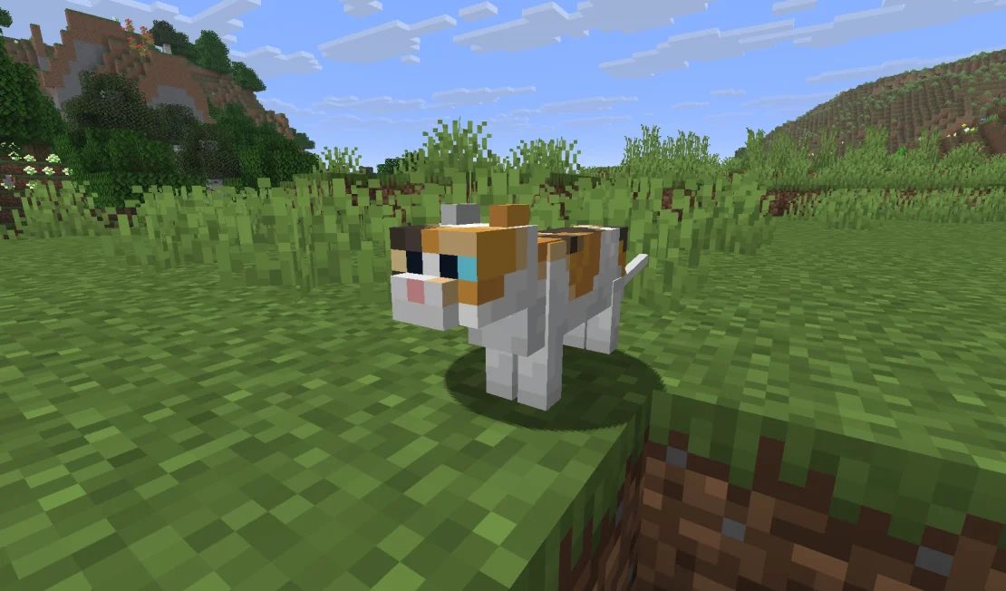 BobicraftMC's tweet photo. Le pregunté a cientos de fans cuál era su MOB favorito de Minecraft 

La inmensa mayoría respondió el GATO https://t.co/10ByP6uV3D