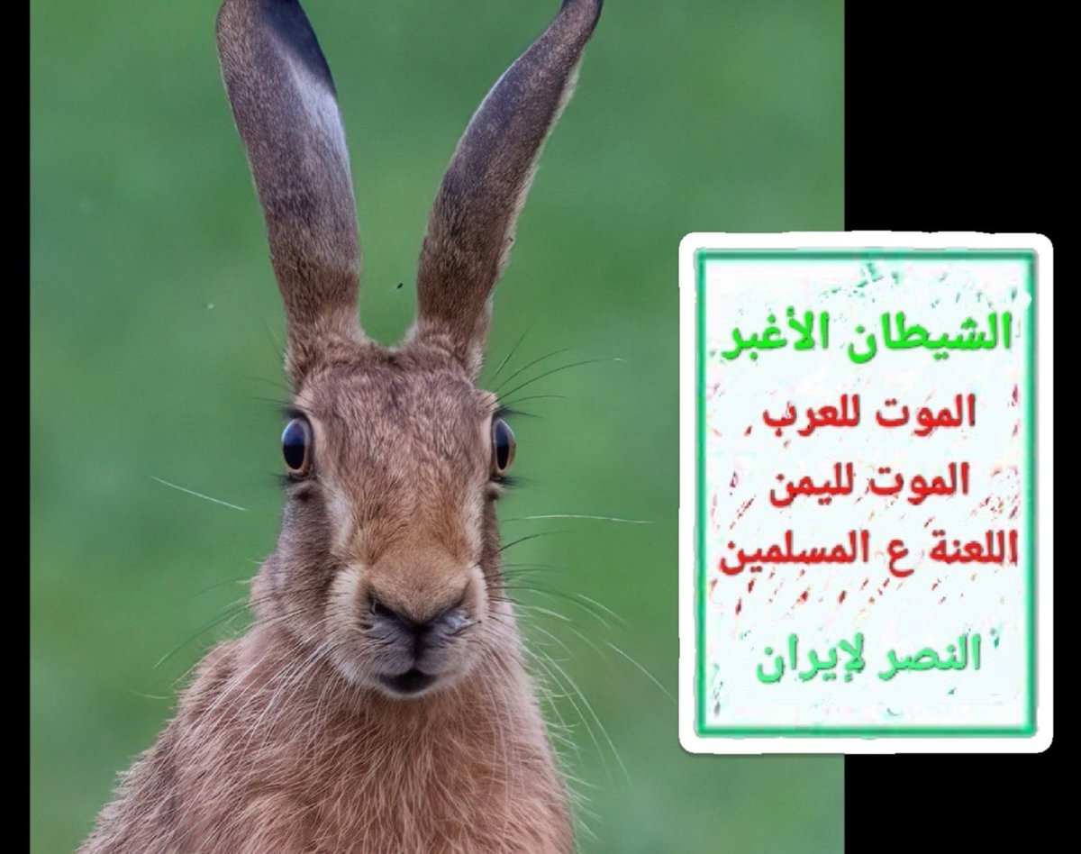 JalladMullahs's tweet photo. لا يوجد حسنة للحوثيين إلا واحدة فقط، أنها كشفت كثيراً من المنافقين الذين صدقوا دعاية تمكنه، فكشفت سواد قلوبهم وفساد معتقدهم وشدة حقدهم وخسة طباعهم وبذاءة السنتهم وتربصهم بالأمة قبل أن تتطاول هاماتهم وهم أقزام ويعلو شأنهم وهم وضعاء ويكثر اتباعهم ويستحكم شرهم في الأمة
#تعز https://t.co/YzUitxLlBO