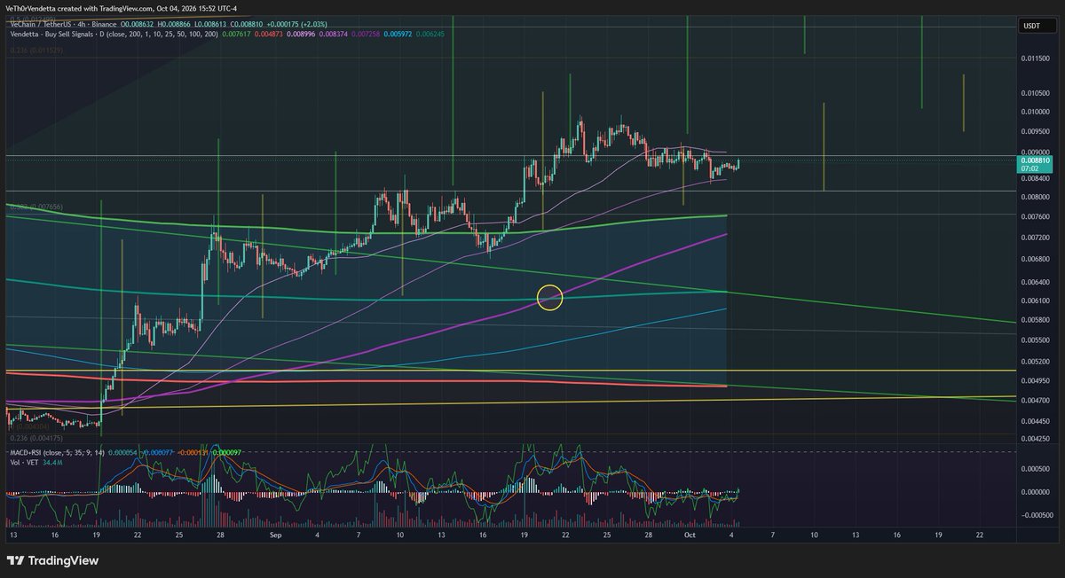 VeThorVendetta's tweet photo. The Return of the Pamp! TO THE FRONT LINES!!!!

#VeChain #VeFam $VET $VTHO https://t.co/GY1Mk4YQs3