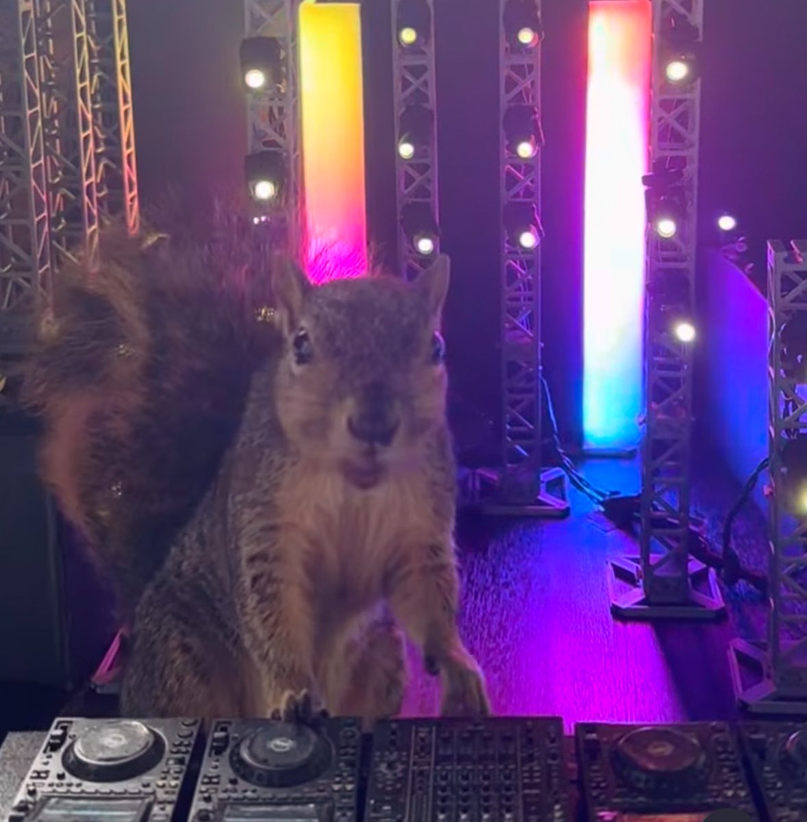 sqrlhongjoong's tweet photo. #홍중 https://t.co/lKSDflzZWE