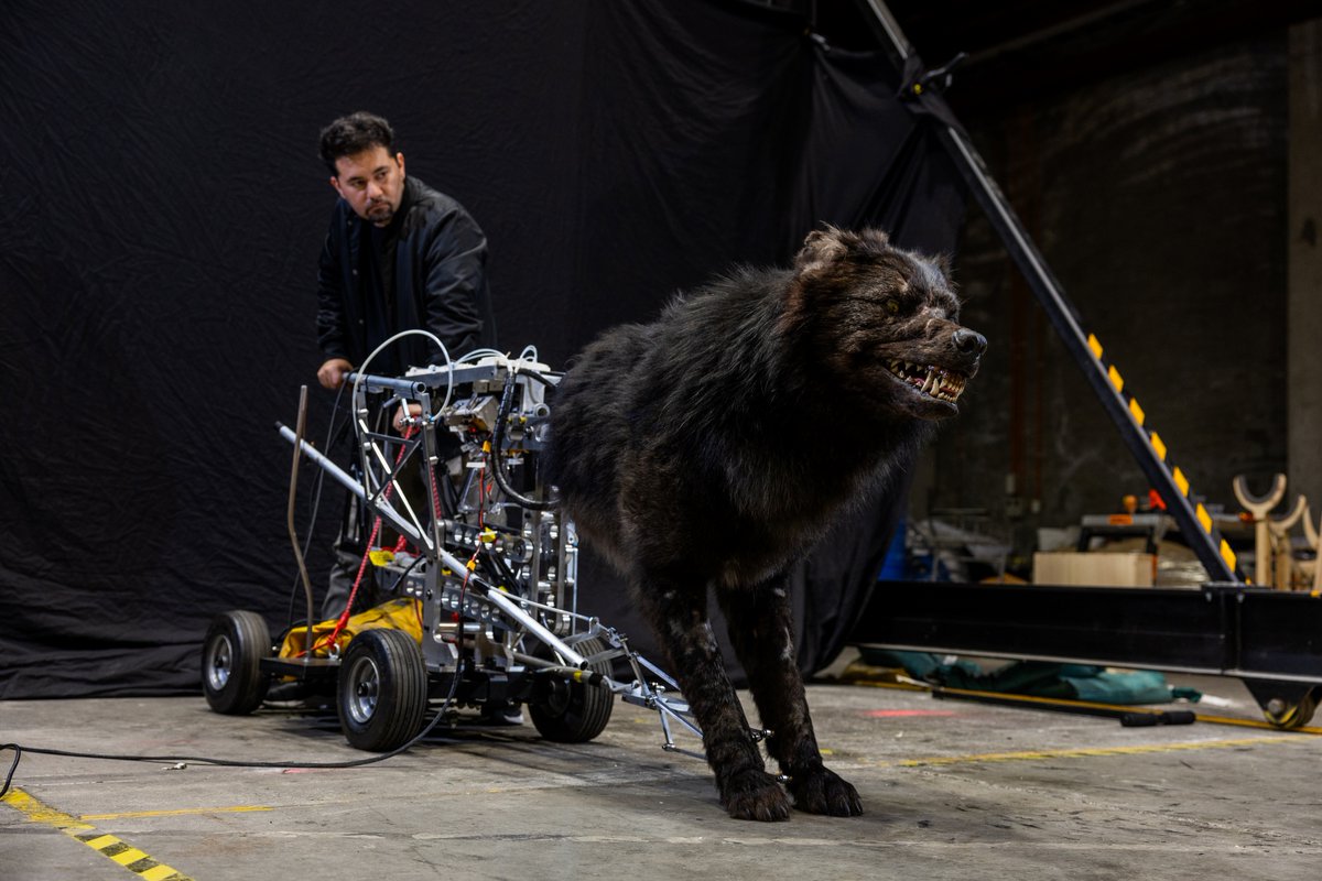 WetaWorkshop's tweet photo. In #HeartoftheBeast, there's the elements and there’s the beasts, including this one: an alpha wolf. We had the pleasure of working with Director David Ayer and Producer Scott Lumpkin to make three versions of this apex predator: an animatronic, an attack puppet and a dummy. https://t.co/GlNFHaqKVs