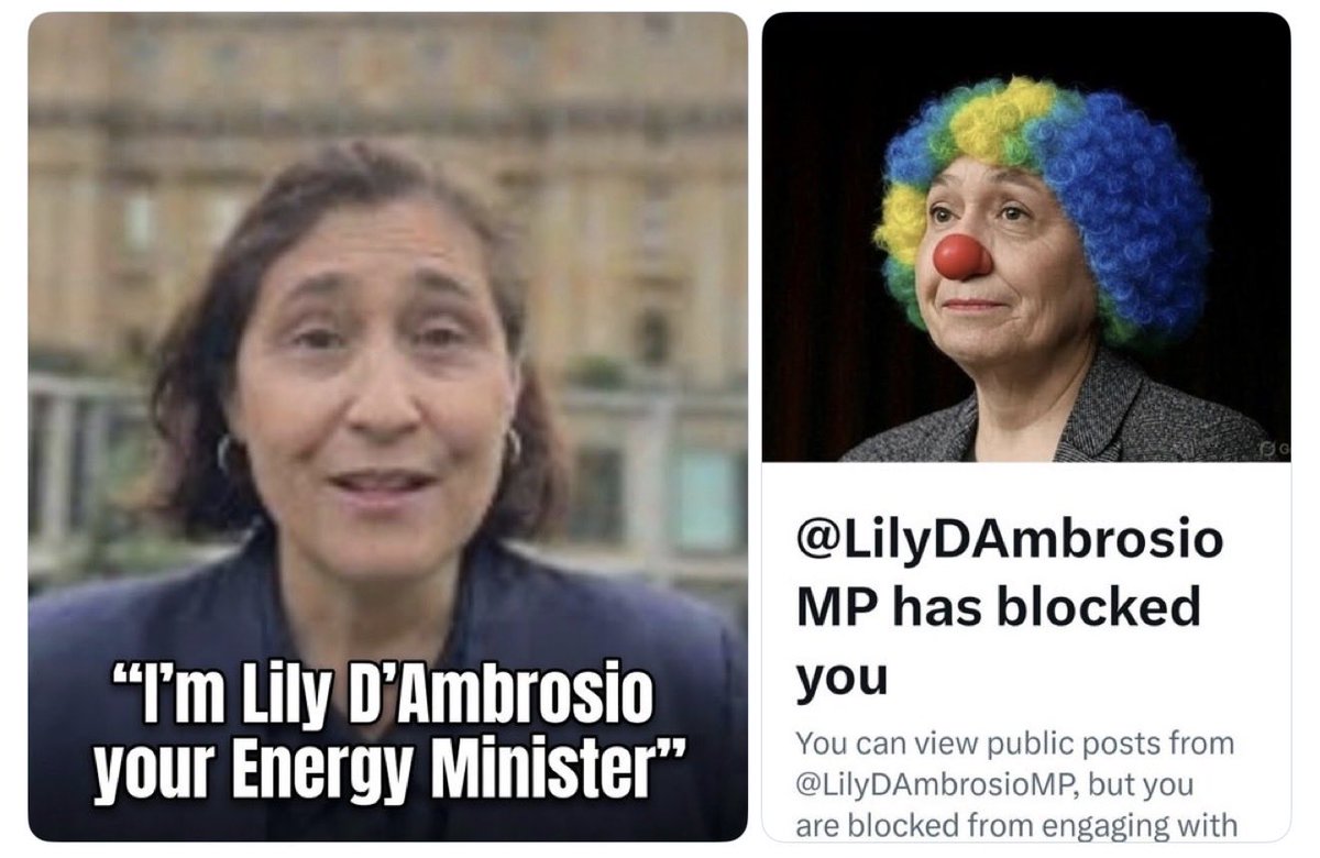TruthHurtsNow_0's tweet photo. @22thinkinggirl @VictorianLabor #SEC #Liars #Frauds https://t.co/CGD5J1VQFH