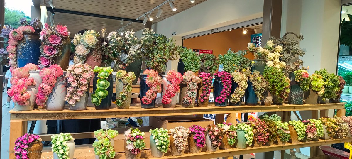 SarahHuntlveam's tweet photo. Hoy vi flores frescas y brillantes en el mercado, me encantan! https://t.co/0TjHAUmide
