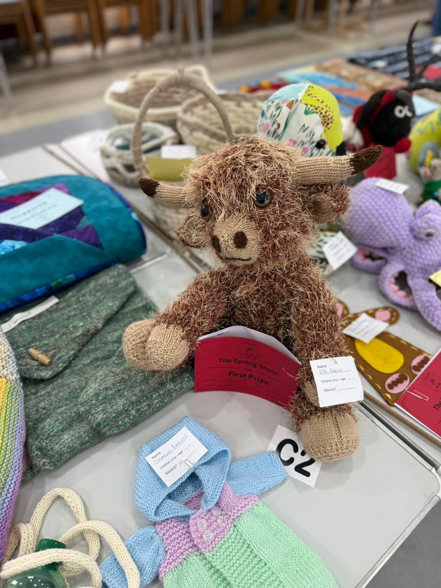 Colin_M_R's tweet photo. Wonderful to see such amazing local talent at today’s Spring Craft Show in Stanley. Creativity, skill and imagination from young and old across the Falklands. Congratulations to everyone who entered, and thank you to the organisers for a lovely community event! https://t.co/diwQLgoSEG
