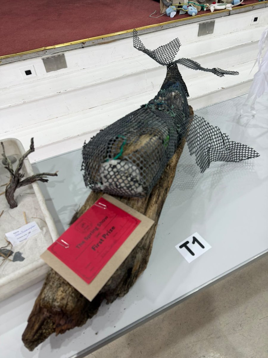 Colin_M_R's tweet photo. Wonderful to see such amazing local talent at today’s Spring Craft Show in Stanley. Creativity, skill and imagination from young and old across the Falklands. Congratulations to everyone who entered, and thank you to the organisers for a lovely community event! https://t.co/diwQLgoSEG