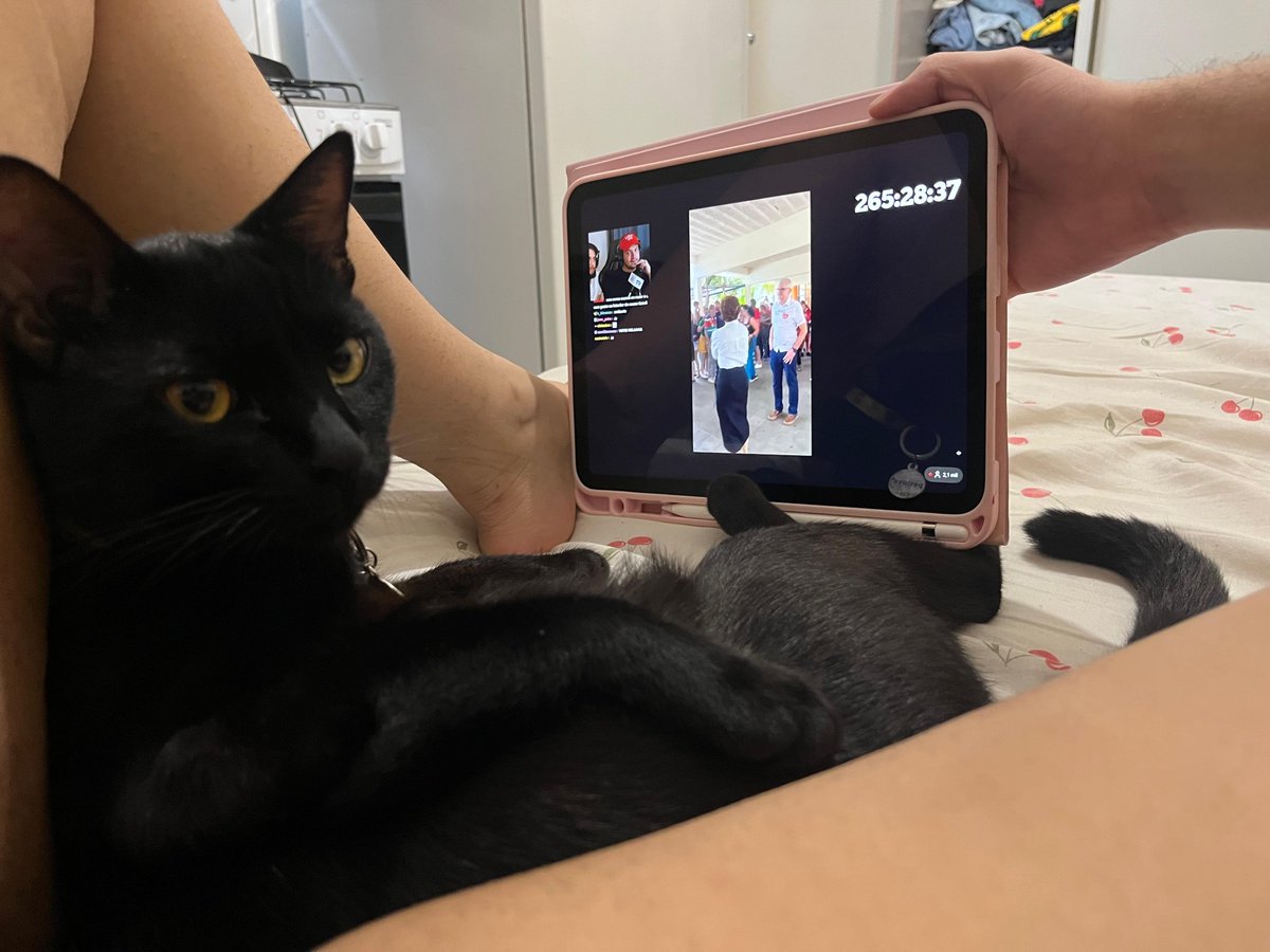 baldstevejean's tweet photo. bombom com nosco acompanhando as apurações
#MeiaUmTV https://t.co/VzyRDjVbf4