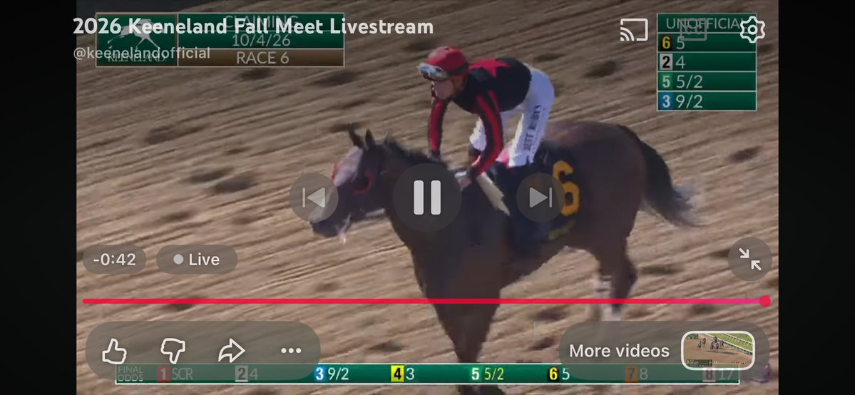 DiegoABelloTor1's tweet photo. No joda porque somos ELITES? 

Keeneland
6) carrera
6-Tarantino: Best Bet. Perdio una IMPOSIBLE, la corren 20 veces y la gana 19. Yo se q sube de lote pero Jacobson le tiene la vitamina full y TG es candidato a ganar la estadística de Keeneland porque por fin esta al 100% con respaldo de trainers y este es su patio

Vente TYLER por nariz en raya pagando $12.96 a ganador Boooooommmmmmmmmm💣💣💣💣💣💣💣💣💣💣
Exclusivamente SUSCRIPTORES