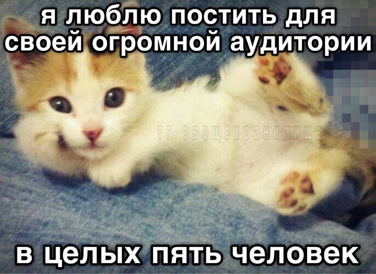 mrpinkvy's tweet photo. аушки в тт всё-таки заставили осваивать твиттер 😌 https://t.co/1JuYLf9owz