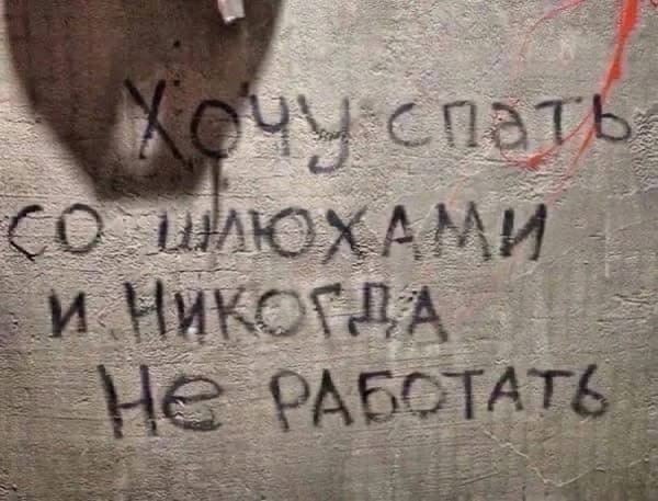 riivsj1's tweet photo. и бухать днями на пролет https://t.co/i7KZWeOAv2