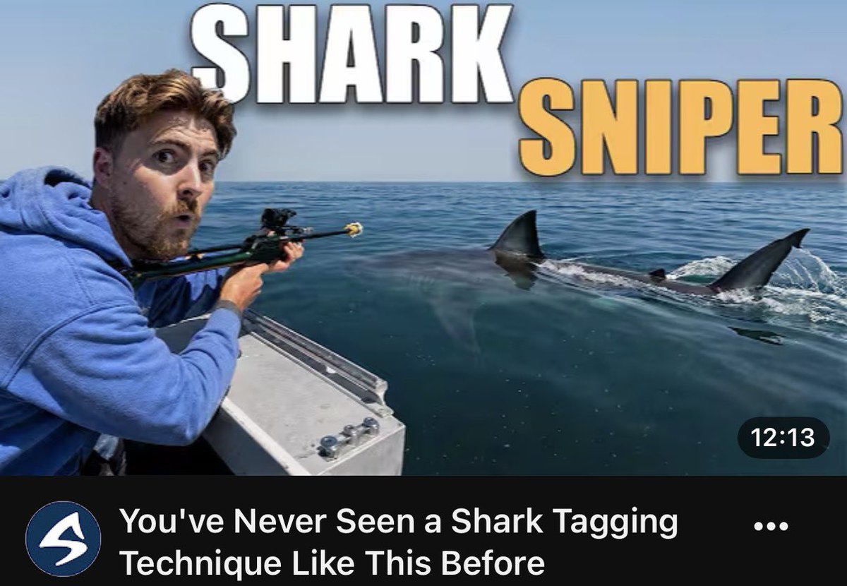 SharkBytes1994's tweet photo. BRAND NEW #SHARKBYTES! I bet you’ve never seen a shark tagging technique like this before, Find out exactly how Dr. Neil Hammerschlag uses the ‘Shark Sniper’ via the Shark Bytes homepage here: https://t.co/yJaq1UANzi https://t.co/Ll49onF6fn