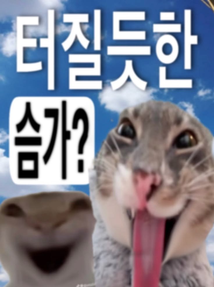 highfiction58's tweet photo. 두장의 사진으로 요약해 봤습니다. https://t.co/Ow8rmx3ZUi